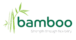 Bamboo